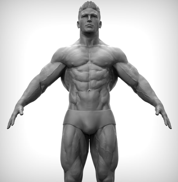3D модель Фитнес Body Man - TurboSquid 1198789